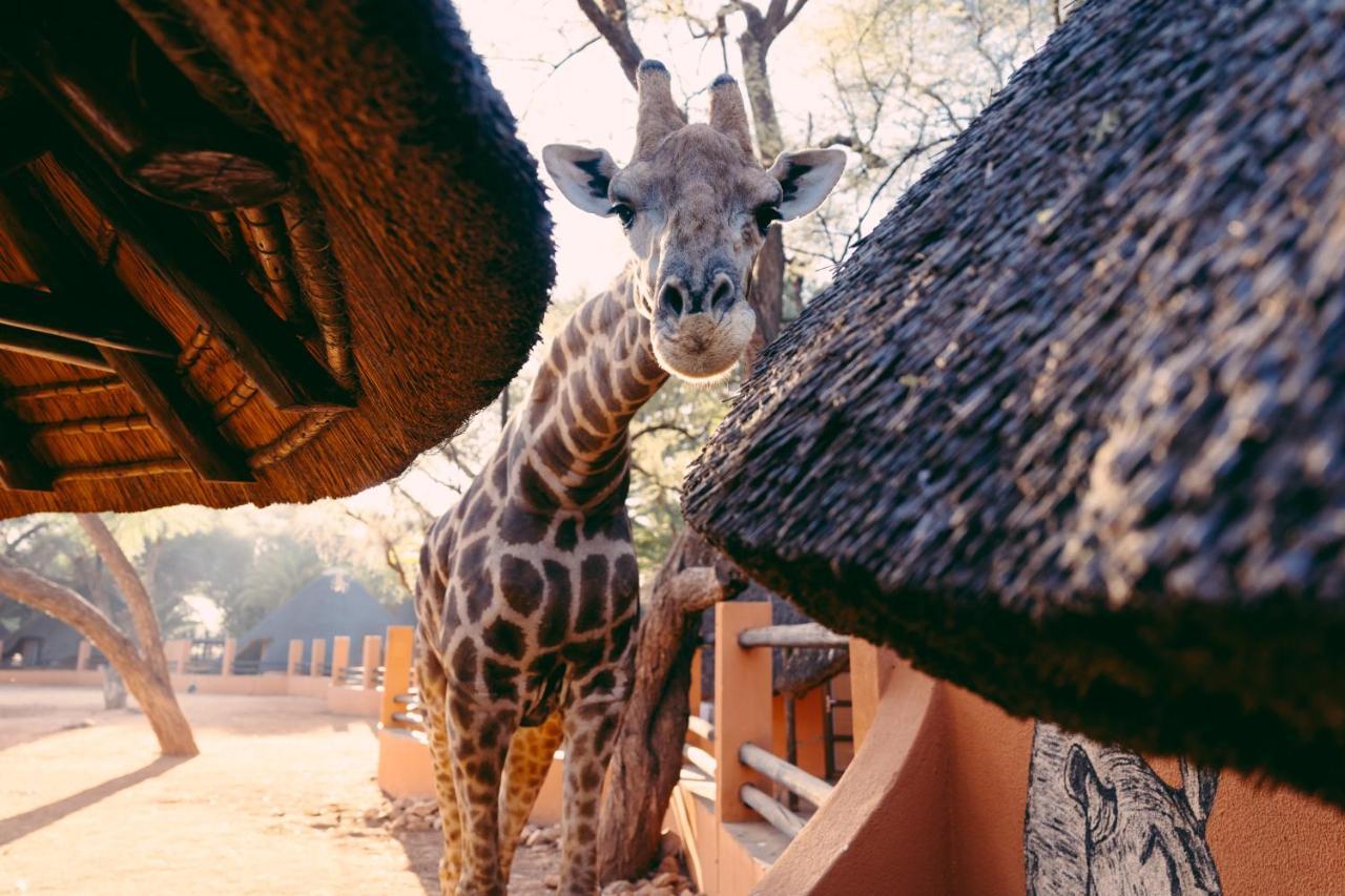 Omaruru Game Lodge Exterior photo